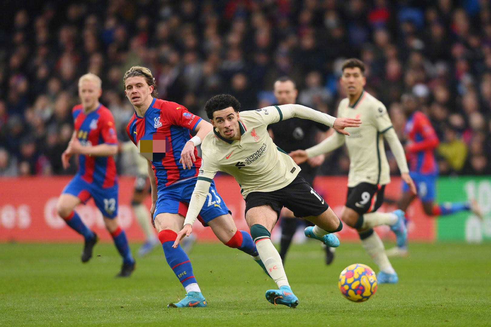 球迷能够 球迷能够